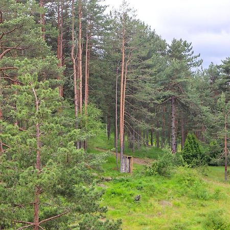 Zlatibor Holiday, Vila Leonardo VI エクステリア 写真