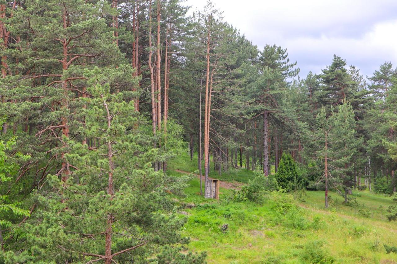 Zlatibor Holiday, Vila Leonardo VI エクステリア 写真