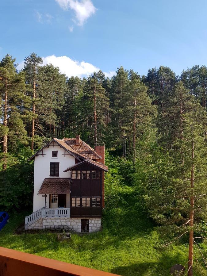 Zlatibor Holiday, Vila Leonardo VI エクステリア 写真