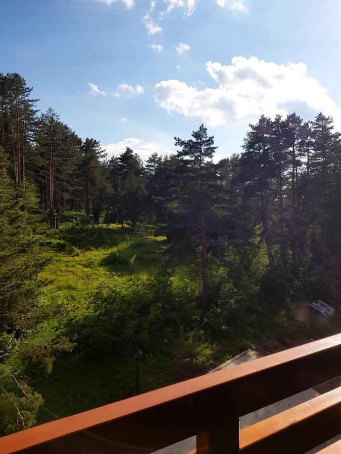 Zlatibor Holiday, Vila Leonardo VI エクステリア 写真